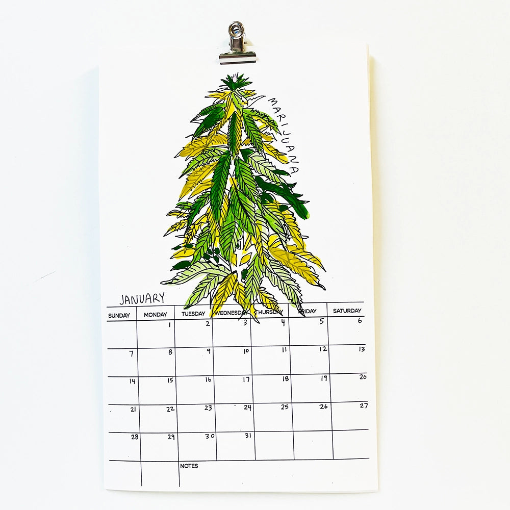 Hallucinogenic Plant A Month 2024 Calendar