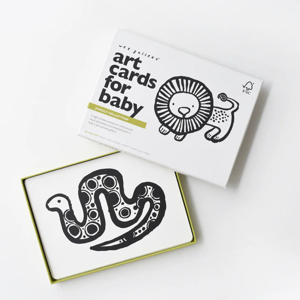 Art Cards For Baby - Jungle