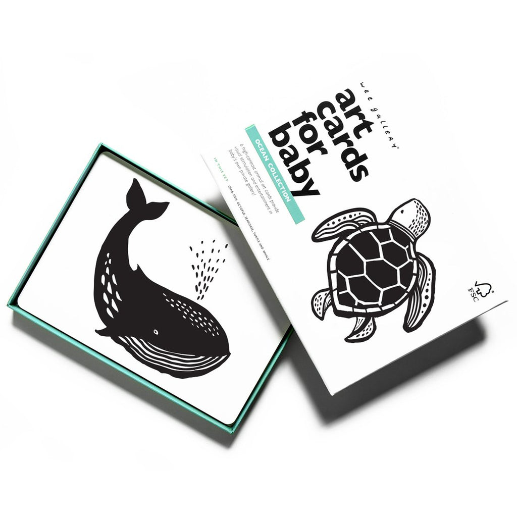 Art Cards For Baby - Ocean
